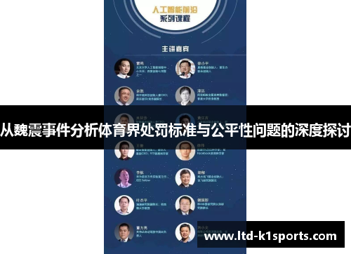 从魏震事件分析体育界处罚标准与公平性问题的深度探讨