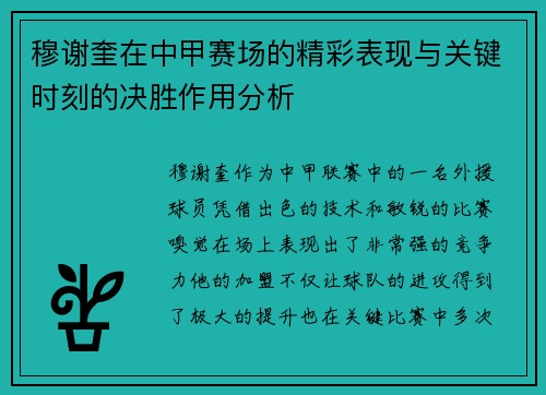 穆谢奎在中甲赛场的精彩表现与关键时刻的决胜作用分析